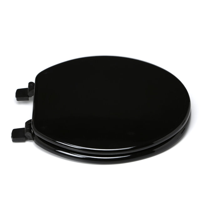 Trimmer Round Toilet Seat and Lid & Reviews Wayfair